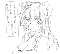 Rule 34 | 1girl, animal ears, bare shoulders, blush, bow, bow bra, bra, breasts, cat ears, cleavage, closed mouth, collarbone, female focus, japanese text, large breasts, light blush, long hair, looking at viewer, mutoo, original, simple background, sketch, solo, sweat, text focus, translation request, underwear, underwear only, upper body, white background