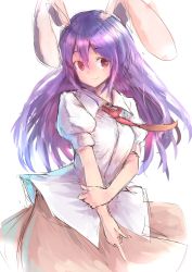Rule 34 | 1girl, absurdres, animal ears, breasts, brown skirt, closed mouth, collared shirt, hand on own arm, highres, kushidama minaka, long hair, looking at viewer, medium breasts, necktie, pointing, pointing down, purple eyes, purple hair, rabbit ears, red necktie, reisen udongein inaba, shirt, short sleeves, simple background, sketch, skirt, smile, solo, tareme, touhou, upper body, white background, white shirt, wing collar