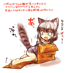 Rule 34 | 1girl, animal ears, bare legs, barefoot, belt collar, blue eyes, blush, box, cardboard box, cat ears, cat girl, cat tail, choker, collar, dated, extra ears, grey hair, grey shirt, kotoba noriaki, looking away, looking to the side, off shoulder, open mouth, original, scared, shirt, signature, slit pupils, solo, striped tail, tail, tail raised, translation request
