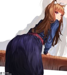 Rule 34 | 1girl, animal ear fluff, animal ears, arm support, blue dress, brown hair, closed mouth, dress, highres, holo, leaning forward, likunea, long hair, long sleeves, looking at viewer, looking back, patreon username, red eyes, solo, spice and wolf, twitter username, wolf ears, wolf girl
