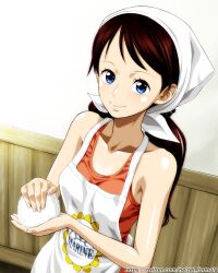 Rule 34 | 1girl, aged up, apron, artist name, bare shoulders, blue eyes, blush, breasts, brown hair, closed mouth, collarbone, dutch angle, eyelashes, food, highres, holding, long hair, looking at viewer, nel-zel formula, one piece, onigiri, orange tank top, parted bangs, rika (one piece), shiny skin, small breasts, smile, solo, swept bangs, tank top, twitter username, upper body, watermark, web address, white headwear