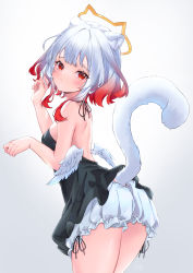 Rule 34 | 1girl, absurdres, animal ears, black dress, bloomers, breasts, cat ears, cat girl, cat tail, dress, gradient hair, highres, leaning forward, multicolored hair, original, red eyes, red hair, shiro kikurage, short dress, short hair, sleeveless, sleeveless dress, small breasts, tail, underwear, white hair, wings