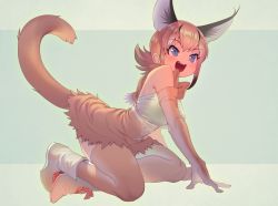 Rule 34 | 1girl, :d, animal ears, bare shoulders, belt, blue eyes, boots, bow, bowtie, breasts, caracal (kemono friends), commentary, elbow gloves, fangs, full body, gloves, highres, kemono friends, kneeling, large breasts, mifu (b24vc1), open mouth, orange bow, orange gloves, orange hair, orange thighhighs, shirt, simple background, skirt, smile, solo, tail, thighhighs, two-tone background, white footwear