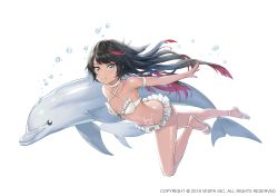 Rule 34 | 1girl, :t, air bubble, animal, armband, bare shoulders, bikini, bikini skirt, black hair, breasts, bubble, choker, criss-cross halter, dark-skinned female, dark skin, dolphin, fish, frilled bikini, frills, front-tie bikini top, front-tie top, full body, grey eyes, halterneck, highres, jaeyun, king&#039;s raid, long hair, looking at viewer, multicolored hair, nia (king&#039;s raid), official art, outstretched arm, sandals, simple background, small breasts, solo, stomach tattoo, streaked hair, string bikini, swimsuit, tattoo, thighs, two-tone hair, very long hair, white background, white bikini, white choker
