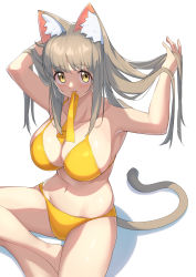 Rule 34 | 1girl, absurdres, animal ear fluff, animal ears, arukiru, bikini, breasts, brown hair, cat ears, cat girl, cat tail, collarbone, commentary request, highres, large breasts, long hair, looking at viewer, mouth hold, navel, original, ribbon, simple background, sitting, swimsuit, tail, thighs, white background, yellow bikini, yellow eyes, yellow ribbon