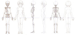 Rule 34 | 1girl, anatomy, ass, barefoot, breasts, character sheet, comparison, female focus, from behind, from side, full body, highres, kneepits, legs, looking at viewer, monochrome, nude, short hair, simple background, skeleton, sketch, skull, smile, standing, thigh gap, thighs, white background
