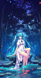 Rule 34 | 1girl, aqua eyes, aqua hair, barefoot, blue eyes, blue hair, character name, dress, erkelee, forest, hatsune miku, highres, long hair, looking at viewer, nature, night, outdoors, ribbon, sitting, soaking feet, solo, submerged, toes, tree, twintails, very long hair, vocaloid, water, wrist cuffs