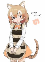 Rule 34 | 10s, 1girl, :d, animal ears, apron, black eyes, blush, brown hair, cat ears, cat tail, collar, collared shirt, commentary, copyright name, cowboy shot, empty eyes, eyelashes, frilled apron, frills, gradient hair, hair between eyes, japari symbol, kanemaru (knmr fd), kemono friends, knmr (knmr fd), light brown hair, long sleeves, looking at viewer, multicolored hair, neck ribbon, official art, open mouth, orange hair, orange ribbon, orange skirt, own hands together, ribbon, shirt, short hair, sidelocks, simple background, skirt, smile, socks, solo, striped apron, striped clothes, striped tail, tail, thighhighs, thylacine (kemono friends), thylacine ears, thylacine tail, tsurime, white background, white hair, white shirt, zettai ryouiki