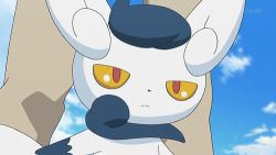 Rule 34 | animated, animated gif, claws, creatures (company), game freak, gen 6 pokemon, lowres, meowstic, meowstic (female), meowstic (male), nintendo, pokemon, pokemon (anime), pokemon (creature)