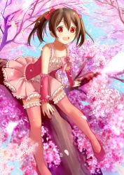 Rule 34 | 10s, 1girl, :d, bare shoulders, black hair, blush, cherry blossoms, clouble, detached sleeves, flat chest, in tree, looking at viewer, love live!, love live! school idol project, open mouth, petals, pink skirt, pink thighhighs, red eyes, short hair, sitting, sitting in tree, skirt, smile, solo, thighhighs, tree, twintails, yazawa nico