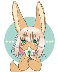 Rule 34 | 1other, ambiguous gender, animal ears, bad id, bad twitter id, blush, flower, furry, green eyes, holding, holding flower, kawasemi27, looking at viewer, made in abyss, nanachi (made in abyss), short hair, tail, upper body, whiskers, white hair