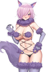 Rule 34 | 1girl, absurdres, animal ear fluff, animal ears, bikini, blush, breasts, claw pose, dot nose, elbow gloves, fang, fate/grand order, fate (series), fur collar, fur trim, gloves, hair over one eye, hand on own hip, highres, kirin3145, large breasts, looking at viewer, mash kyrielight, mash kyrielight (dangerous beast), navel, open mouth, pink hair, purple eyes, purple gloves, purple tail, purple thighhighs, revealing clothes, short hair, simple background, solo, stomach, sweatdrop, swimsuit, teeth, thighhighs, white background