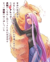 Rule 34 | 1girl, alpaca, blindfold, casual, denim, facial mark, fate/stay night, fate (series), happy, heart, hug, jeans, llama, long hair, medusa (fate), medusa (rider) (fate), official alternate costume, orange541, pants, purple hair, simple background, translation request, very long hair, white background