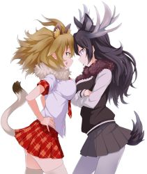 Rule 34 | 10s, 2girls, :q, animal ears, antlers, black hair, blonde hair, breast press, breasts, crossed arms, eye contact, forehead-to-forehead, fur collar, grey legwear, hair between eyes, hands on own hips, heads together, horns, kemono friends, large breasts, lion (kemono friends), lion ears, lion tail, long hair, long sleeves, looking at another, mirai denki, moose (kemono friends), moose ears, moose tail, multiple girls, necktie, orange eyes, pantyhose, plaid, plaid necktie, plaid neckwear, plaid skirt, pleated skirt, purple eyes, red necktie, red skirt, short sleeves, simple background, skirt, smile, symmetrical docking, tail, thighhighs, tongue, tongue out, white background, white legwear