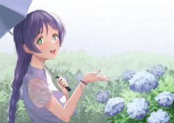 Rule 34 | 1girl, aqua eyes, artist name, artist request, blush, bracelet, braid, breasts, collared shirt, day, female focus, green eyes, highres, holding, holding umbrella, jewelry, long hair, long twintails, looking at viewer, love live!, love live! school idol project, low-tied long hair, low twintails, nail, nail polish, outdoors, parted lips, pearl bracelet, puffy short sleeves, puffy sleeves, purple hair, purple nail polish, purple nails, rain, shirt, short sleeves, sidelocks, single braid, small breasts, smile, solo, teeth, tojo nozomi, twintails, umbrella, upper body, white shirt