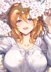 Rule 34 | 1girl, :d, aged up, alternate breast size, blush, breasts, cherry blossoms, commentary request, gochuumon wa usagi desu ka?, hair between eyes, hair ornament, hairclip, highres, hoto cocoa, ks (xephyrks), large breasts, long sleeves, looking at viewer, lying, medium hair, on back, open mouth, orange hair, petals, purple eyes, shirt, smile, solo, upper body, white shirt
