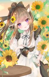 Rule 34 | 1girl, absurdres, animal ears, bad id, bad pixiv id, blurry, blurry foreground, blush, bow, brown hair, cat ears, coffee, flower, hair bow, highres, long hair, maid, open mouth, original, ponytail, purple eyes, sakura mochiko, solo, sunflower