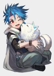 Rule 34 | 1boy, blue hair, braid, cu chulainn (fate), dog, fate/grand order, fate (series), grey background, highres, lack, male focus, messy hair, open mouth, pet, red eyes, setanta (fate), simple background