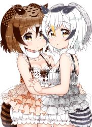 Rule 34 | 10s, 2girls, adapted costume, arato asato, bird tail, bloomers, bow, breasts, brown hair, cleavage, collarbone, commentary request, cowboy shot, eurasian eagle owl (kemono friends), fur collar, grey hair, hair between eyes, hand on another&#039;s shoulder, hands on another&#039;s waist, highres, hug, kemono friends, lingerie, looking at viewer, medium breasts, multicolored hair, multiple girls, northern white-faced owl (kemono friends), short hair, simple background, tail, underwear, white background, yellow eyes