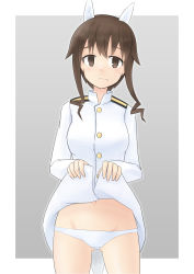 Rule 34 | 1girl, animal ears, brown hair, embarrassed, highres, kutoten910, military, military uniform, no pants, strike witches, tail, takei junko, uniform, world witches series