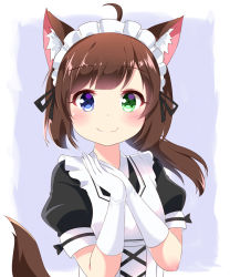 Rule 34 | 1girl, ikazu401, ahoge, animal ears, apron, black dress, black ribbon, blue eyes, blush, brown hair, closed mouth, commentary, dog ears, dog girl, dog tail, dress, elbow gloves, fang, fang out, gloves, green eyes, hands up, heterochromia, long hair, looking at viewer, low ponytail, maid, maid apron, maid headdress, original, own hands together, ponytail, puffy short sleeves, puffy sleeves, ribbon, short sleeves, sidelocks, smile, solo, tail, upper body, white apron, white gloves