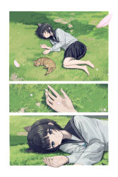 1girl absurdres animal animal_ears barefoot black_hair black_skirt blunt_bangs border brown_cat cat cat_ears cat_girl cat_tail closed_eyes day expressionless extra_ears falling_petals from_above full_body grass highres long_sleeves lying on_grass on_side original outdoors outside_border petals sailor_collar sakiika0513 school_uniform sequential serafuku shirt short_hair skirt sleeping tail white_border white_shirt