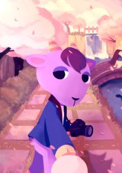 Rule 34 | 1boy, animal crossing, camera, cherry blossoms, colton (animal crossing), highres, holding hands, kidd (animal crossing), looking at viewer, looking back, meixins, nintendo, pink theme, pov, pov hands, scenery