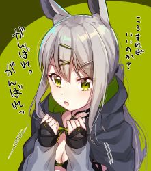 Rule 34 | 1girl, :o, animal ears, black bra, bra, breasts, cleavage, commentary request, copyright request, fang, green background, green eyes, grey hair, grey jacket, hair ornament, hairclip, highres, ichiren namiro, jacket, long sleeves, looking at viewer, ponytail, small breasts, solo, underwear, upper body