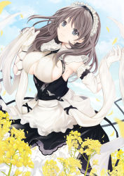 Rule 34 | 1girl, apron, azur lane, black dress, breasts, charybdis (azur lane), clothing cutout, day, dress, dutch angle, flower, framed breasts, gloves, grey eyes, grey hair, highres, large breasts, long hair, looking at viewer, maid headdress, maya (tirolpop), outdoors, rapeseed blossoms, solo, underboob, underboob cutout, white apron, white gloves, yellow flower