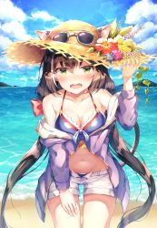 Rule 34 | 1girl, absurdres, animal ear fluff, animal ears, arm up, bare shoulders, beach, bikini, bikini under clothes, blue bikini, blue flower, blue sky, blush, bow, breasts, brown hair, cat ears, cat girl, cat tail, cleavage, cloud, cloudy sky, collarbone, commentary request, cowboy shot, day, ears through headwear, eyewear on head, fangs, flower, front-tie bikini top, front-tie top, green eyes, hair bow, hand on headwear, hand on own thigh, hat, hat flower, hibiscus, highres, horizon, huge filesize, jacket, karyl (princess connect!), karyl (summer) (princess connect!), long hair, long shirt, long sleeves, looking at viewer, low twintails, multicolored hair, navel, ocean, off-shoulder jacket, off shoulder, open clothes, open fly, open jacket, open mouth, open shorts, outdoors, pink flower, princess connect!, purple jacket, red bow, red flower, ribbon, sarika, short shorts, shorts, sky, solo, standing, stomach, straw hat, streaked hair, sun hat, sunglasses, swimsuit, tail, twintails, unworn eyewear, very long hair, water, white hair, white shorts, yellow flower
