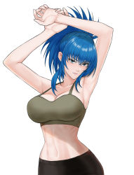 Rule 34 | 1girl, aqua eyes, armpits, arms up, bare arms, blue hair, breasts, cleavage, closed mouth, collarbone, commentary, expressionless, fingernails, highres, large breasts, leona heidern, lips, long hair, looking at viewer, midriff, navel, pants, ponytail, ribs, sidelocks, simple background, sleeveless, solo, stomach, tank top, the king of fighters, upper body, white background, yukimune