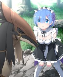 Rule 34 | 10s, 1girl, bare shoulders, black dress, black ribbon, blue eyes, blue hair, blush, breasts, cleavage, commentary request, day, detached sleeves, dress, eyebrows, eyes visible through hair, frilled sleeves, frills, goribote, hair ornament, hair over one eye, maid, maid headdress, matching hair/eyes, md5 mismatch, medium breasts, outdoors, pantyhose, patrasche (re:zero), pink ribbon, pout, puffy cheeks, puffy cheeks, re:zero kara hajimeru isekai seikatsu, rem (re:zero), resolution mismatch, revision, ribbon, ribbon-trimmed clothes, ribbon trim, short hair, solo, source larger, underbust, white pantyhose, x hair ornament