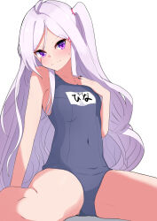 Rule 34 | 1girl, absurdres, blue archive, grey hair, hair ornament, hairpin, highres, hina (blue archive), hina (swimsuit) (blue archive), long hair, looking at viewer, nise no tsubo, official alternate costume, purple eyes, purple hair, school swimsuit, swimsuit, thighs, white hair