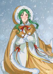 Rule 34 | 1girl, absurdres, artist name, blue sky, brown coat, brown eyes, brown mittens, closed mouth, coat, commentary, elincia ridell crimea, english commentary, eyelashes, fire emblem, fire emblem: path of radiance, fur-trimmed coat, fur trim, green hair, highres, long hair, mittens, nintendo, outdoors, signature, sky, snowing, solo, tamafry, trembling