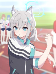 Rule 34 | 4girls, alternate hairstyle, animal ear fluff, animal ears, black jacket, blue archive, blue eyes, blurry, blurry background, closed mouth, cross hair ornament, earrings, grey hair, hair between eyes, hair ornament, halo, highres, jacket, jewelry, koenza botoke, looking at viewer, medium hair, mismatched pupils, multicolored clothes, multicolored jacket, multiple girls, outdoors, ponytail, shiroko (blue archive), solo focus, stretching, stud earrings, track and field, track jacket, upper body, white jacket, wolf ears