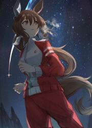 Rule 34 | 1girl, admire vega (umamusume), animal ears, brown hair, closed mouth, commentary request, cowboy shot, ear covers, hair between eyes, highres, horse ears, horse girl, horse tail, jacket, long hair, long sleeves, night, night sky, outdoors, pants, ponytail, purple eyes, red jacket, red pants, running, shooting star, siena (moratoriummaga), single ear cover, sky, solo, star (sky), starry sky, tail, tracen training uniform, track jacket, track pants, umamusume, visible air