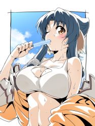 Rule 34 | 1girl, ainu clothes, animal ears, aquaplus, arm up, atuy, bare shoulders, blue hair, blush, breasts, cleavage, cleavage cutout, clothing cutout, collarbone, crop top, fingernails, food, from side, large breasts, looking at viewer, off shoulder, one eye closed, open clothes, orange eyes, parted bangs, popsicle, raised eyebrows, short hair with long locks, sideboob, sleeveless, solo, sweat, sweatdrop, toned, toned female, toned stomach, underboob, upper body, utawarerumono, utawarerumono: itsuwari no kamen, wakoudo