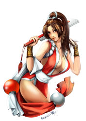 Rule 34 | 1girl, anna kemushi, black eyes, black hair, breasts, cleavage, fatal fury, folded fan, folding fan, gloves, hand fan, japanese clothes, legs, long hair, obi, pelvic curtain, ponytail, revealing clothes, rope, sash, shiranui mai, simple background, snk, solo, the king of fighters