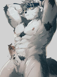 Rule 34 | 1boy, abs, adjusting clothes, adjusting headwear, ainu clothes, aoi (husiginokuninoa), armpit hair, armpits, arms behind head, bara, breath, censored, censored by text, chest hair, chest tuft, completely nude, feet out of frame, furry, furry male, grey fur, highres, horkeu kamui, large pectorals, looking at viewer, male focus, male pubic hair, mature male, muscular, muscular male, navel, nipples, notice lines, nude, pectorals, penis, pubic hair, short hair, solo, sparse pubic hair, standing, stomach, sweat, thick thighs, thighs, tokyo houkago summoners, two-tone fur, wolf boy, yellow eyes