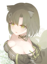 Rule 34 | 1girl, absurdres, animal ear fluff, arknights, bare shoulders, black choker, breasts, brown dress, brown hair, cat, choker, cleavage, collarbone, dress, female focus, highres, jean.organ, looking at viewer, mandragora (arknights), off-shoulder dress, off shoulder, parted lips, photoshop (medium), short hair, simple background, smile, solo, white background, yellow eyes