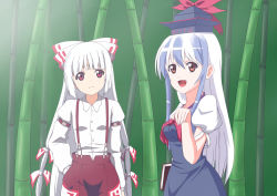 Rule 34 | 2girls, bamboo, bamboo forest, blue hair, bow, breasts, forest, fujiwara no mokou, hair bow, hat, highres, kamishirasawa keine, long hair, medium breasts, multicolored hair, multiple girls, nature, open mouth, pants, red eyes, sachishiro pengin, small breasts, suspenders, touhou, very long hair, white hair