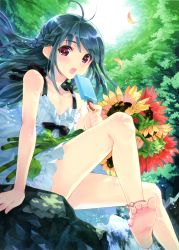 Rule 34 | 1boy, :o, absurdres, anklet, bare shoulders, barefoot, blue hair, braid, character request, collarbone, crossdressing, day, dengeki moeou, dress, feet, flat chest, flower, food, forest, highres, holding, ice cream, jewelry, kasukabe akira, long hair, looking at viewer, male focus, nature, non-web source, open mouth, original, popsicle, red eyes, scan, single braid, sitting, soles, solo, spread toes, stream, sundress, sunflower, toes, trap, water, waterfall, white dress