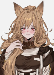 Rule 34 | 1girl, animal ears, aogisa, arknights, blush, breasts, brown hair, ceobe (arknights), dog ears, dog girl, hair between eyes, highres, holding, holding own hair, jacket, long hair, looking at viewer, medium breasts, red eyes, smile, solo, upper body, white background