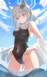 Rule 34 | 1girl, absurdres, animal ear fluff, animal ears, bird, black one-piece swimsuit, blue archive, blue eyes, blue halo, blue sky, blush, breasts, competition swimsuit, covered navel, cross, cross hair ornament, extra ears, grey hair, hair ornament, halo, highleg, highleg swimsuit, highres, inverted cross, kabu usagi, looking at viewer, looking down, low ponytail, medium breasts, medium hair, mismatched pupils, multicolored clothes, multicolored swimsuit, ocean, official alternate costume, one-piece swimsuit, partially submerged, seagull, shiroko (blue archive), shiroko (swimsuit) (blue archive), sky, solo, swimsuit, two-tone swimsuit, wet, wet clothes, wet swimsuit, wolf ears