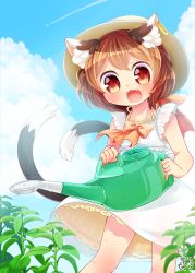 Rule 34 | 1girl, :3, :d, aircraft, airplane, alternate costume, animal ears, bare arms, brown hair, cat ears, cat tail, chen, cloud, contrail, day, dress, earrings, fang, hat, highres, ibaraki natou, jewelry, looking at viewer, multiple tails, nekomata, open mouth, outdoors, petticoat, plant, red eyes, ribbon, short hair, single earring, sky, smile, solo, sundress, tail, touhou, two tails, watering can