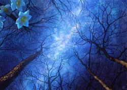 Rule 34 | bare tree, blurry, blurry foreground, commentary request, depth of field, flower, from below, mocha (cotton), night, night sky, no humans, original, outdoors, scenery, sky, star (sky), starry sky, tree, white flower