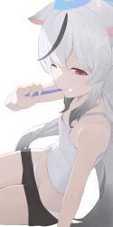 Rule 34 | 1girl, animal ears, black hair, black shorts, blue archive, blue halo, commentary, flat chest, grey hair, halo, highres, hiroki (yyqw7151), kokona (blue archive), long hair, multicolored hair, panties, red eyes, shorts, solo, streaked hair, toothbrush in mouth, underwear, white panties