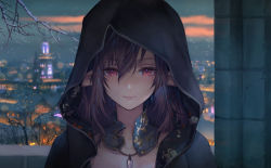 Rule 34 | 1girl, blurry, blurry background, branch, brown hair, city lights, closed mouth, commentary request, hair between eyes, highres, hood, hood up, jewelry, long hair, looking at viewer, necklace, original, outdoors, pillar, pink eyes, pointy ears, red eyes, solo, umiu geso, upper body