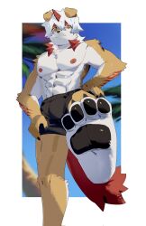 Rule 34 | 1boy, abs, arknights, bara, barefoot, black shorts, blue sky, colored tips, commentary, foot up, furry, furry male, hand on own hip, hand on own leg, highres, horns, hung (arknights), jyuuzai, komainu boy, komainu ears, komainu tail, looking at viewer, looking down, male focus, multicolored hair, muscular, muscular male, nipples, palm tree, pawpads, pectorals, shorts, single horn, sky, standing, standing on one leg, symbol-only commentary, topless male, tree