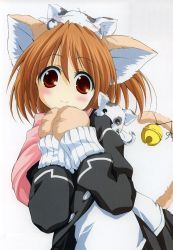 Rule 34 | 1girl, :3, = =, animal ears, animal hands, bell, blush, blush stickers, cat, cat ears, cat tail, coat, duplicate, fur, highres, jingle bell, object on head, orange hair, red eyes, scan, short hair, smile, solo, tail, tail bell, tail ornament, wakatsuki sana